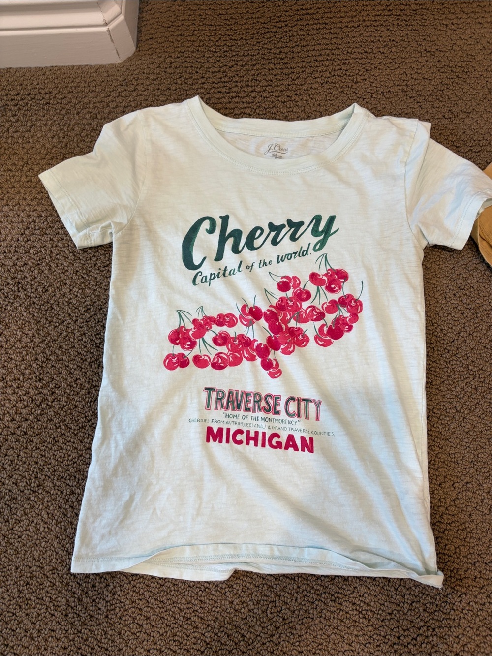 J. Crew White Tee with Red Cherry Graphic and Green Script